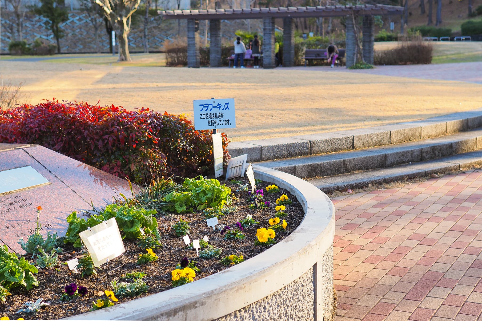 p2110353-2.jpg