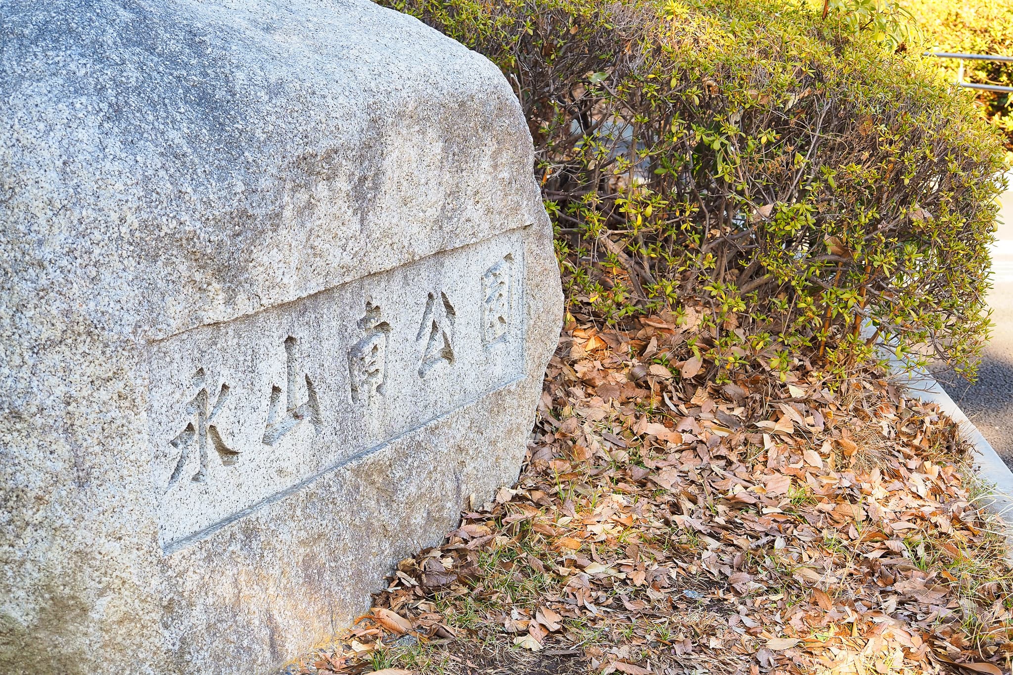 p2030167.jpg